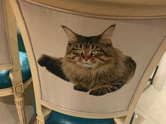 -猫先生时尚火锅(桂平路店)