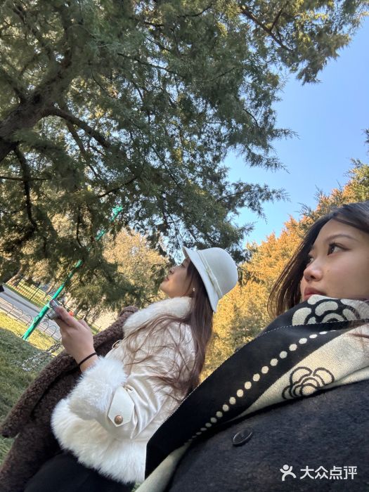 三里河公园图片