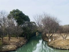 -西溪国家湿地公园