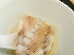 -天正河鲀·河豚亭(大连店)