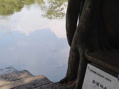 -小洲村