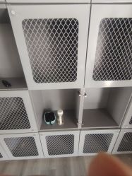 -泫舞舞蹈工作室