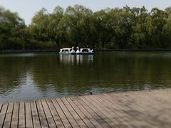 -北陵公园