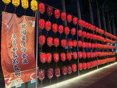-光明农场大观园