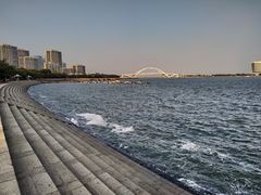 -五缘湾湿地公园