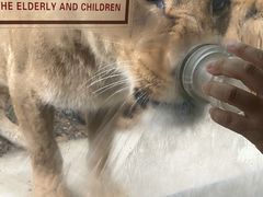 -栾川竹海野生动物园