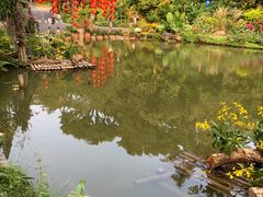 -深圳仙湖植物园
