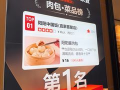 -阳阳中国饭(北京荟聚店)