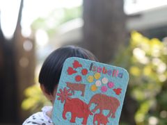 -大象粑粑造纸公园