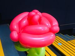 -深圳欢乐谷