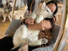 -Husky Go! 哈士奇体验馆·宠物咖啡厅狗咖