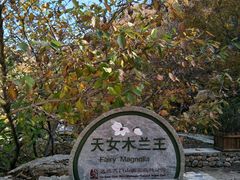 -大连天门山国家森林公园