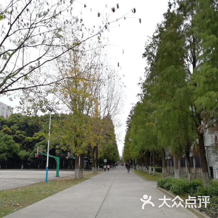 长江大学西校区图片图片