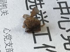 -天兴居(鲜鱼口街店)