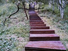 -北京十三陵国家森林公园蟒山景区