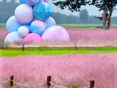 -汉长安城未央宫国家考古遗址公园