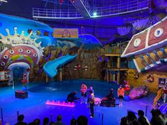 -烟台海昌鲸鲨海洋公园