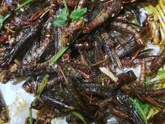 -风暴音乐烧烤串吧