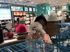 -巴黎春天(浦建店)