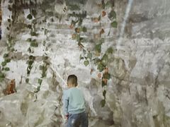-仙蘑洞