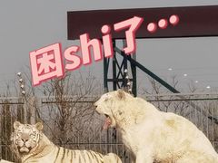 -济南野生动物世界
