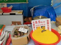 -郑和公园