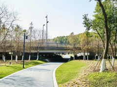 -昆山城市生态森林公园