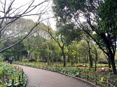 -汉拿树木园