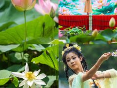 -广州莲花山旅游区