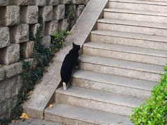 -青岛崂山太清宫