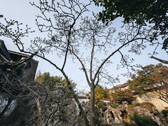 -何园