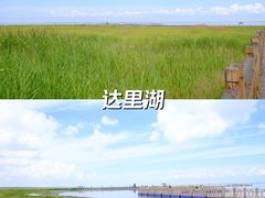 -玉龙沙湖景区