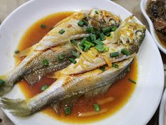 清蒸小黄鱼-红灯笼龙凤饭店(宁波老字号店)