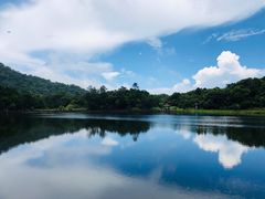 -海南热带雨林国家公园吊罗山景区