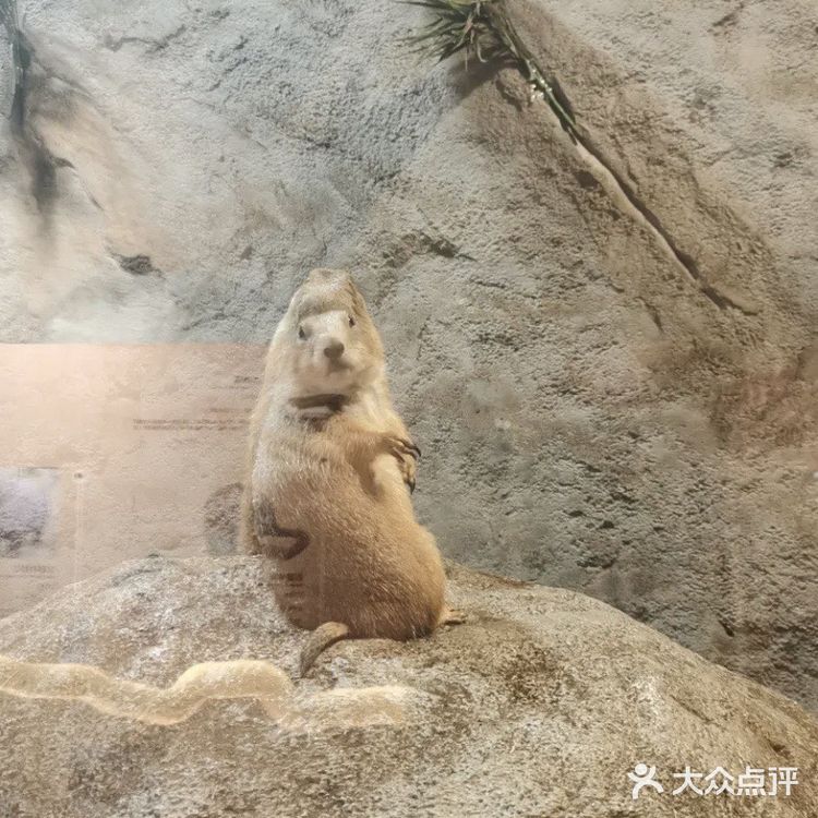 198元带宝宝逛室内动物园！