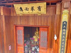 -深圳仙湖植物园