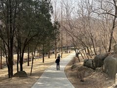 -白水寺森林公园