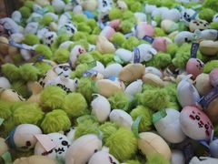 -中部国际机场