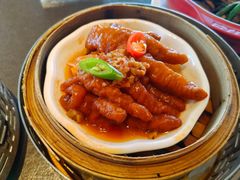 -南海渔村·徐博馆(琶洲店-粤菜养生宴)
