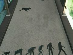 -中国第四纪冰川遗迹陈列馆