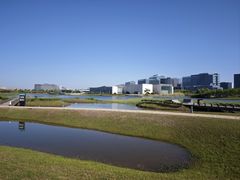 -春花秋色城市公园