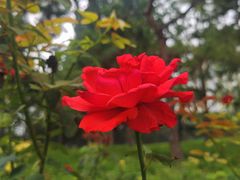 -元大都城垣遗址公园