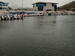 -刘家峡水库