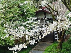 -中国茶叶博物馆(双峰馆区)
