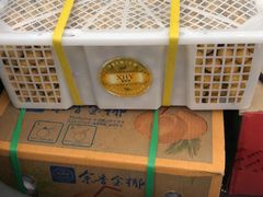 -西郊国际农产品交易中心