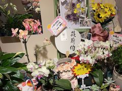 -EGO原创机械密室逃脱(朝阳大悦城2店)