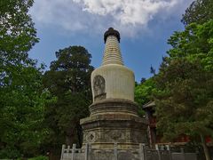 -大觉寺-停车场
