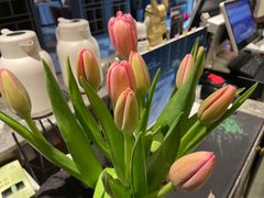 -美盛喜来登大酒店-盛宴标帜餐厅