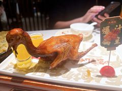 -大鸽饭(岗顶店)