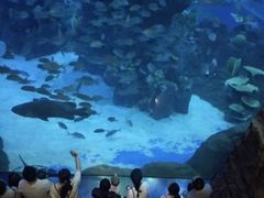 -成都浩海立方海洋公园